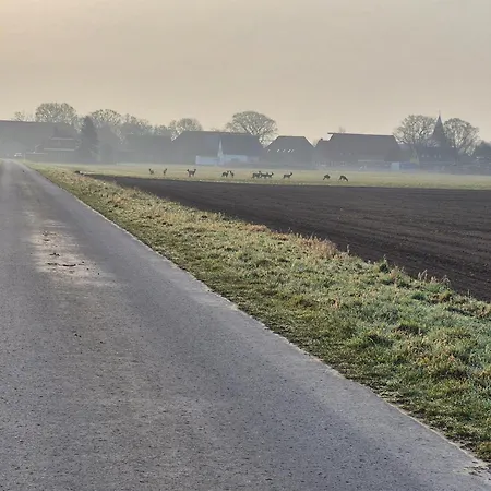 Bei Nebel *